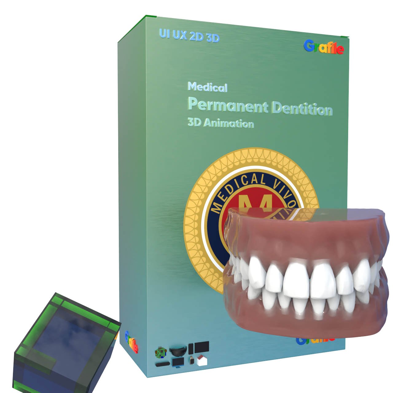 MV Permanent Dentition Medical Orthodontics 3D Animation