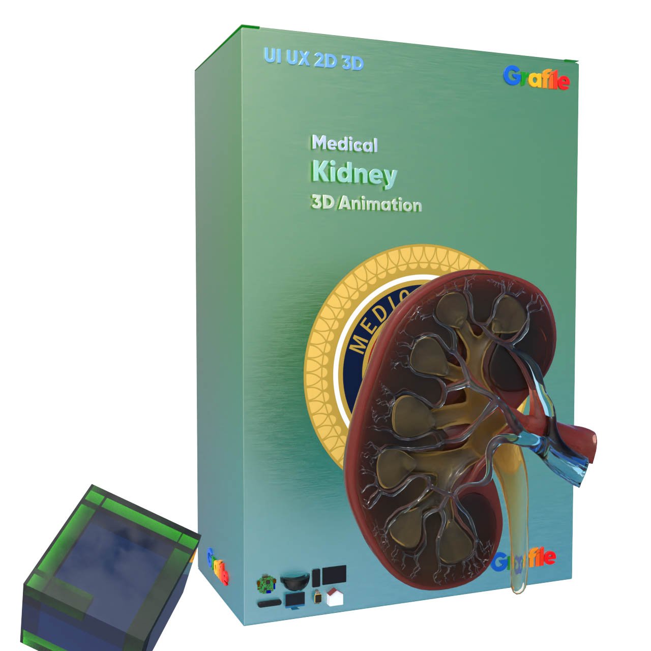 MV Kidney Medical Excretory 3D  Animation