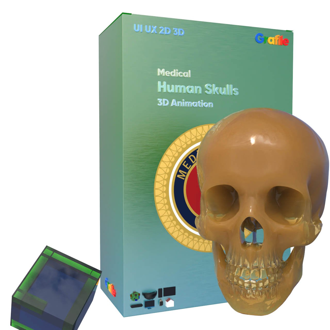 MV Human Skulls Medical  Skeletal 3D Animation