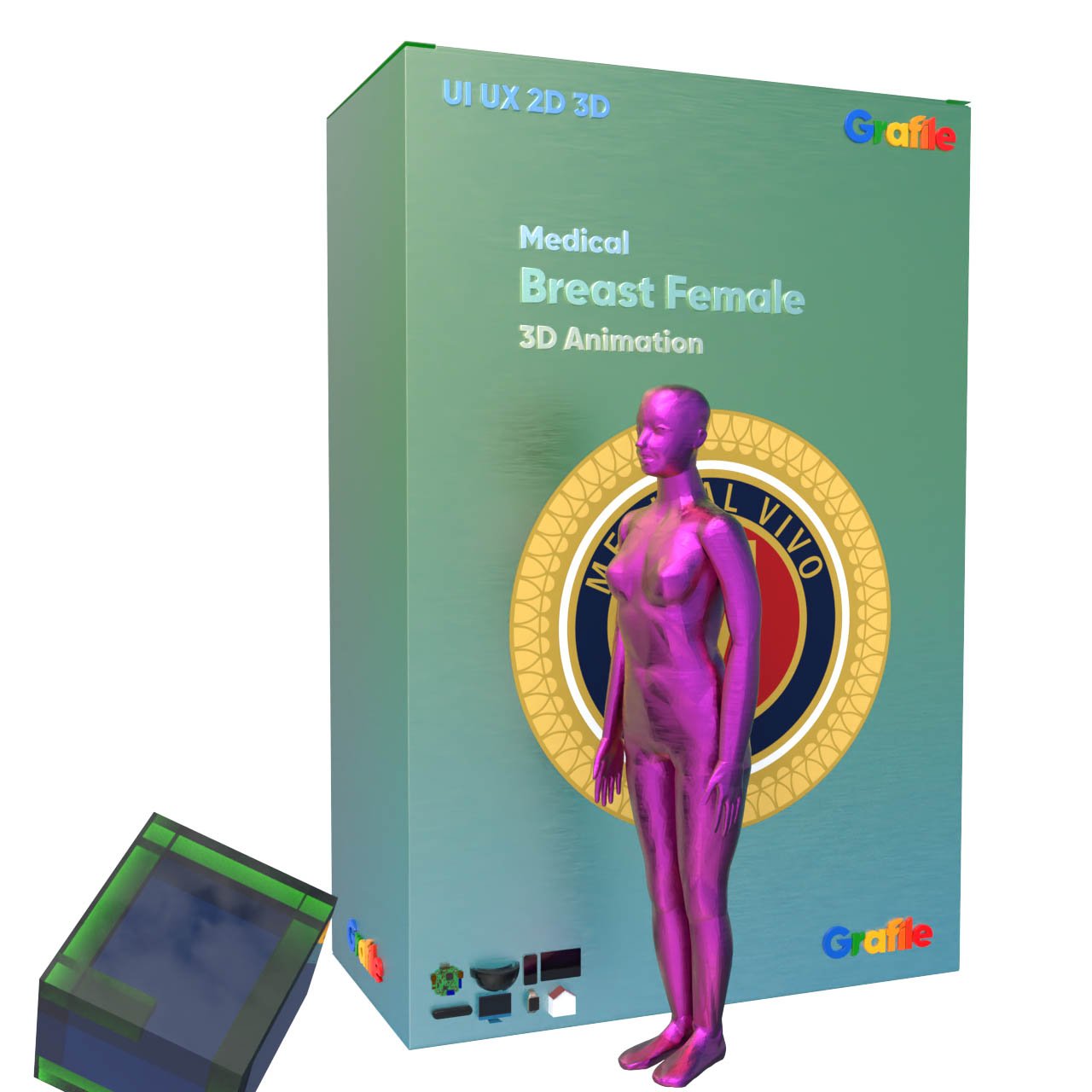 MV Breast Female Medical  Anatomy 3D Animation