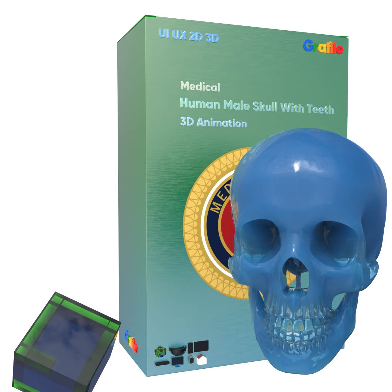 MV Human Male Skull With Teeth  Medical Skeletal 3D Animation