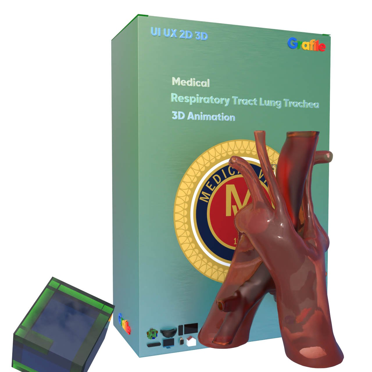 MV Respiratory Tract Lung  Trachea Medical Respiratory 3D Animation