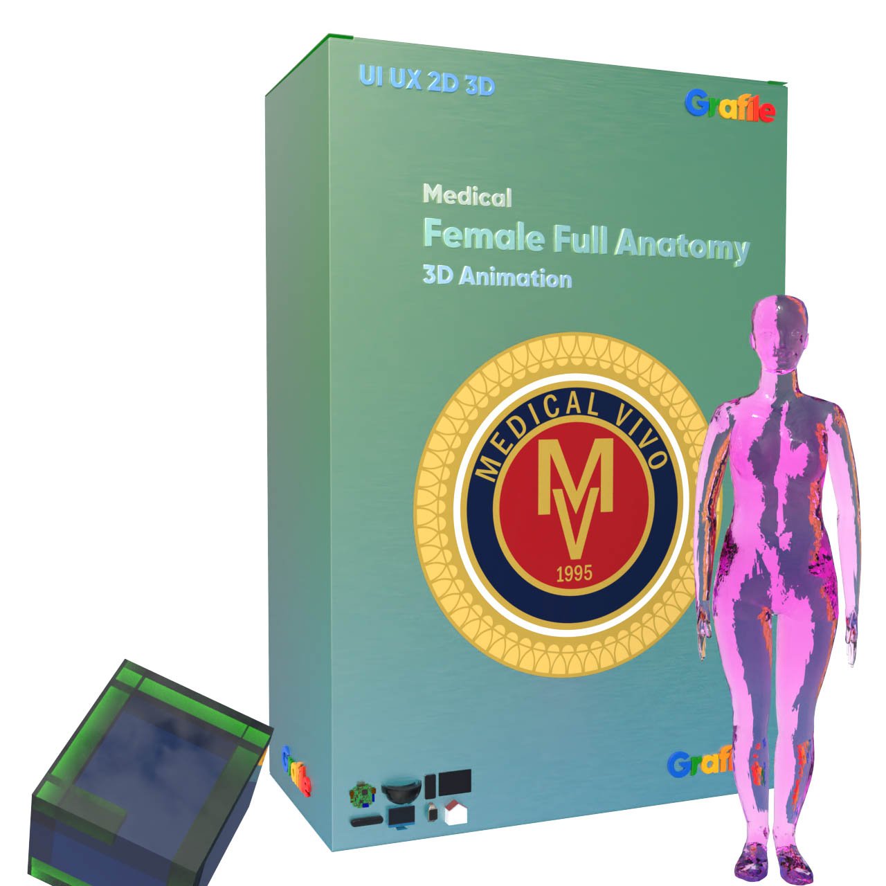 MV Female Full Anatomy Medical  Anatomy 3D Animation