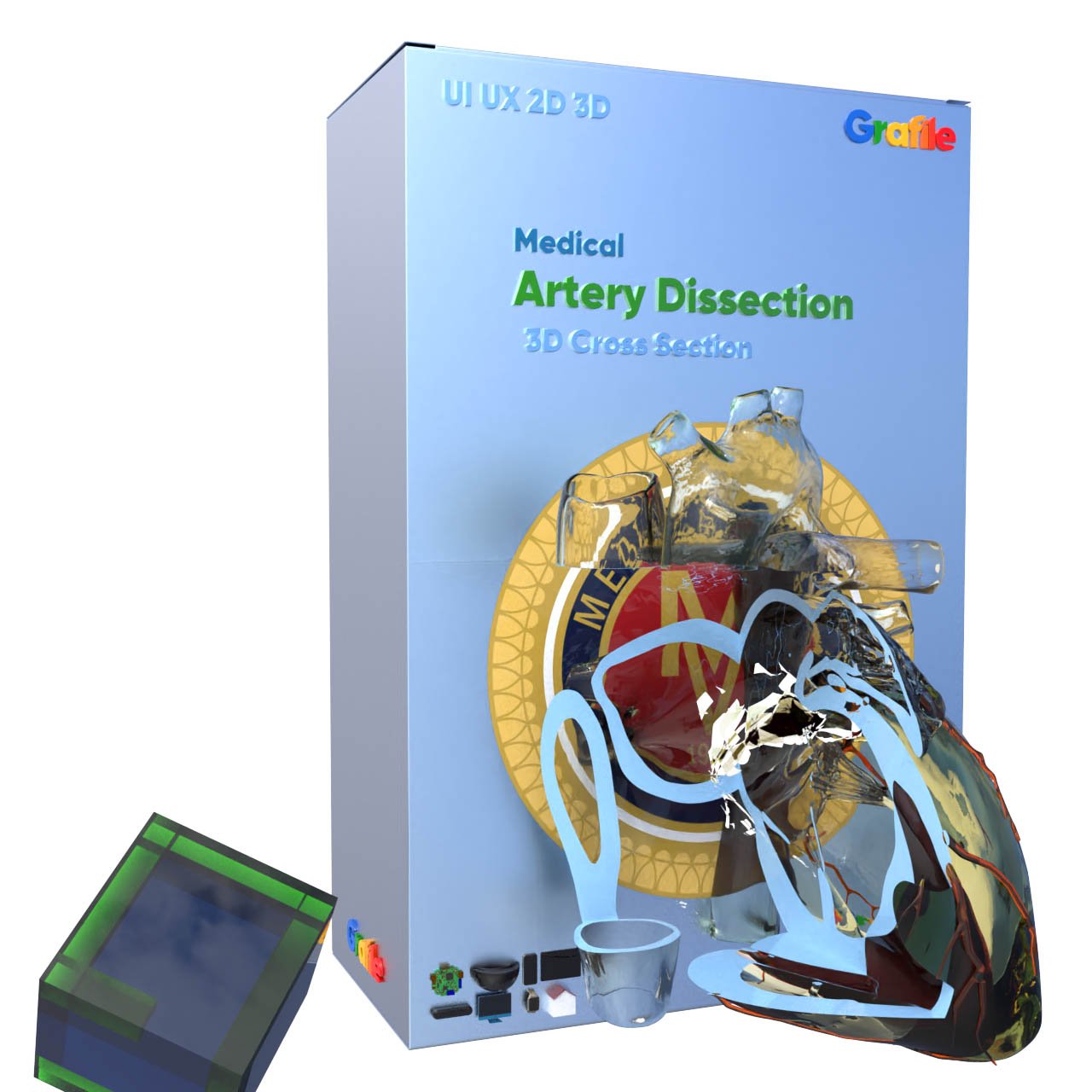 MV Artery Dissection Medical  Cardiovascular 3D Cross Section