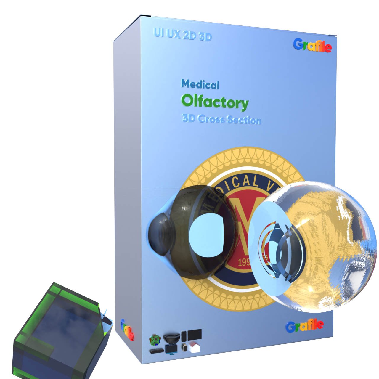 MV Olfactory Medical  Respiratory 3D Cross Section