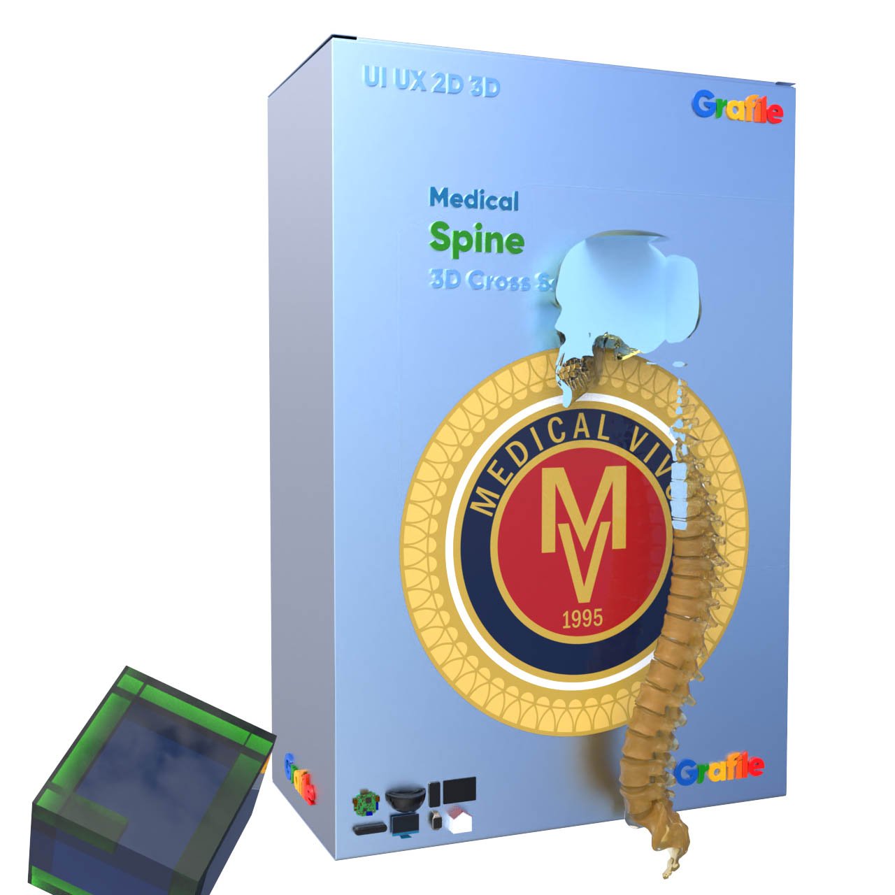 MV Spine Medical Skeletal 3D  Cross Section