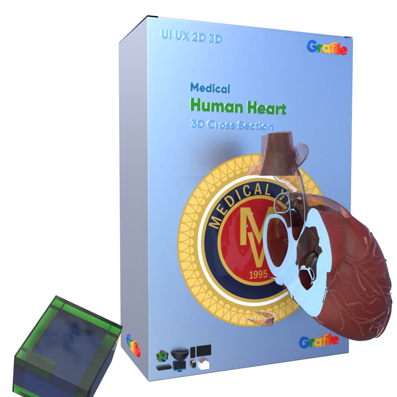 MV Human Heart Medical  Cardiovascular 3D Cross Section