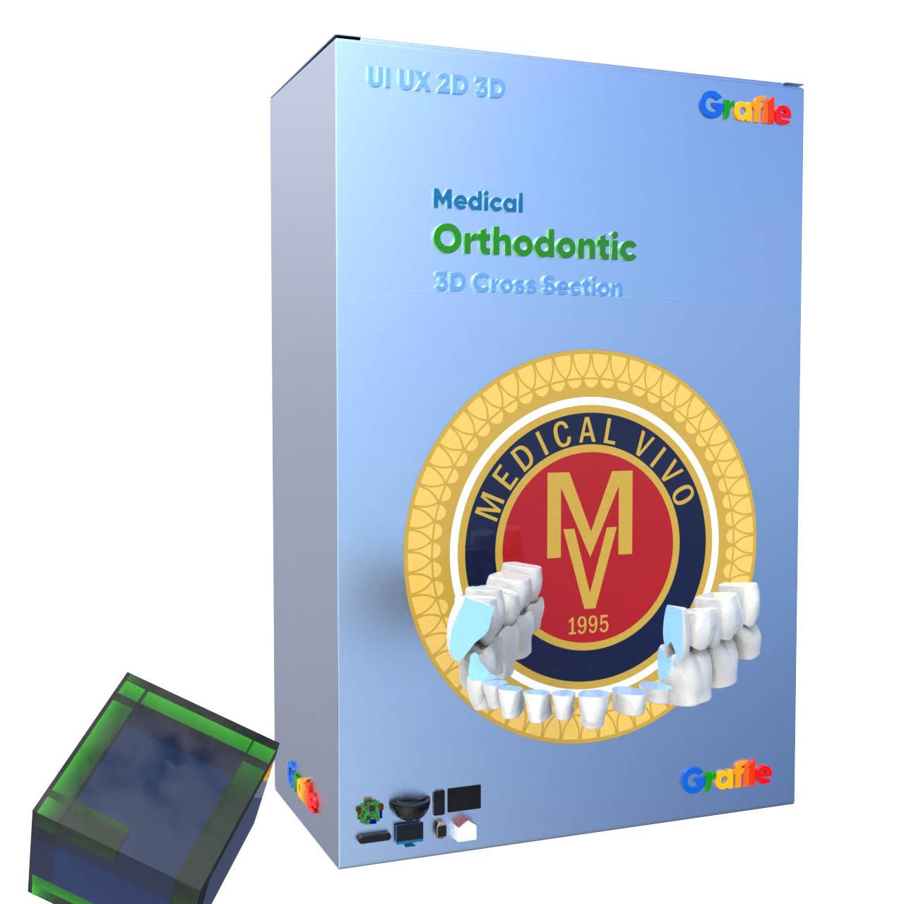 MV Orthodontic Medical Dental  3D Cross Section