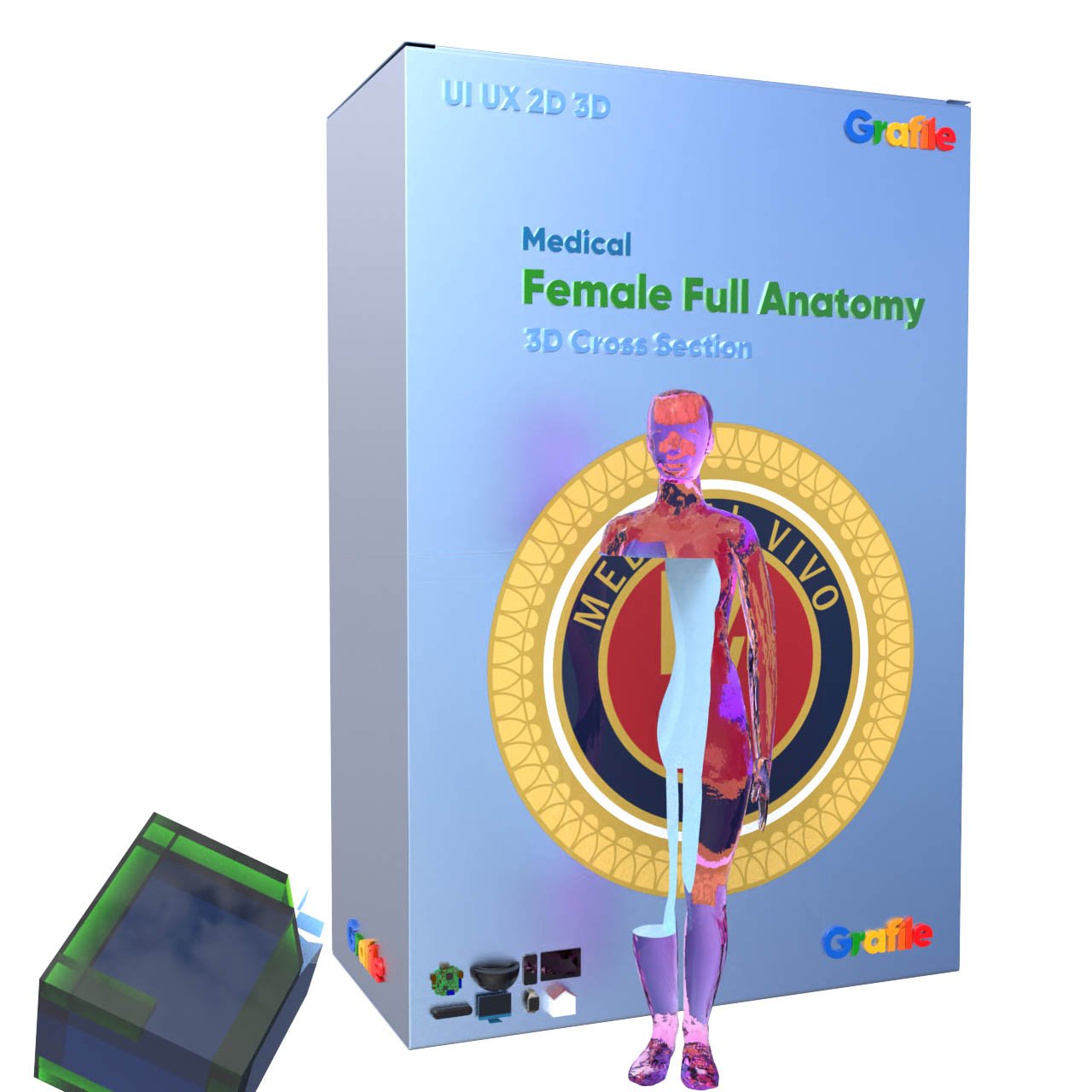 MV Female Full Anatomy Medical  Anatomy 3D Cross Section