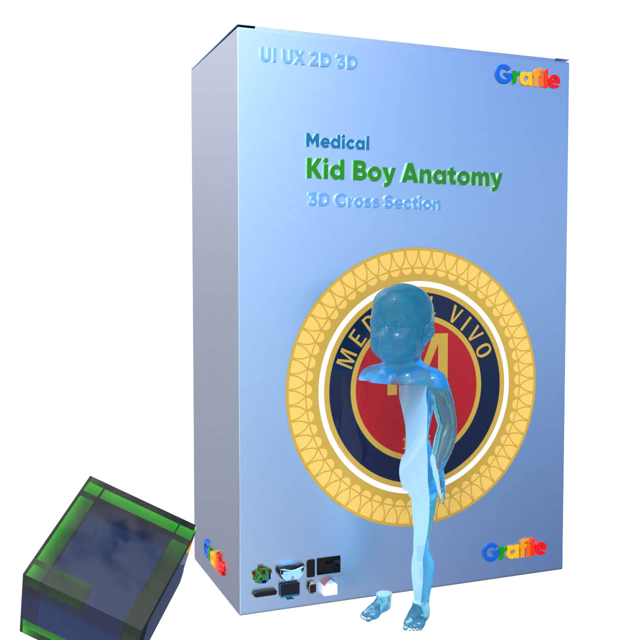 MV Kid Boy Anatomy Medical  Anatomy 3D Cross Section