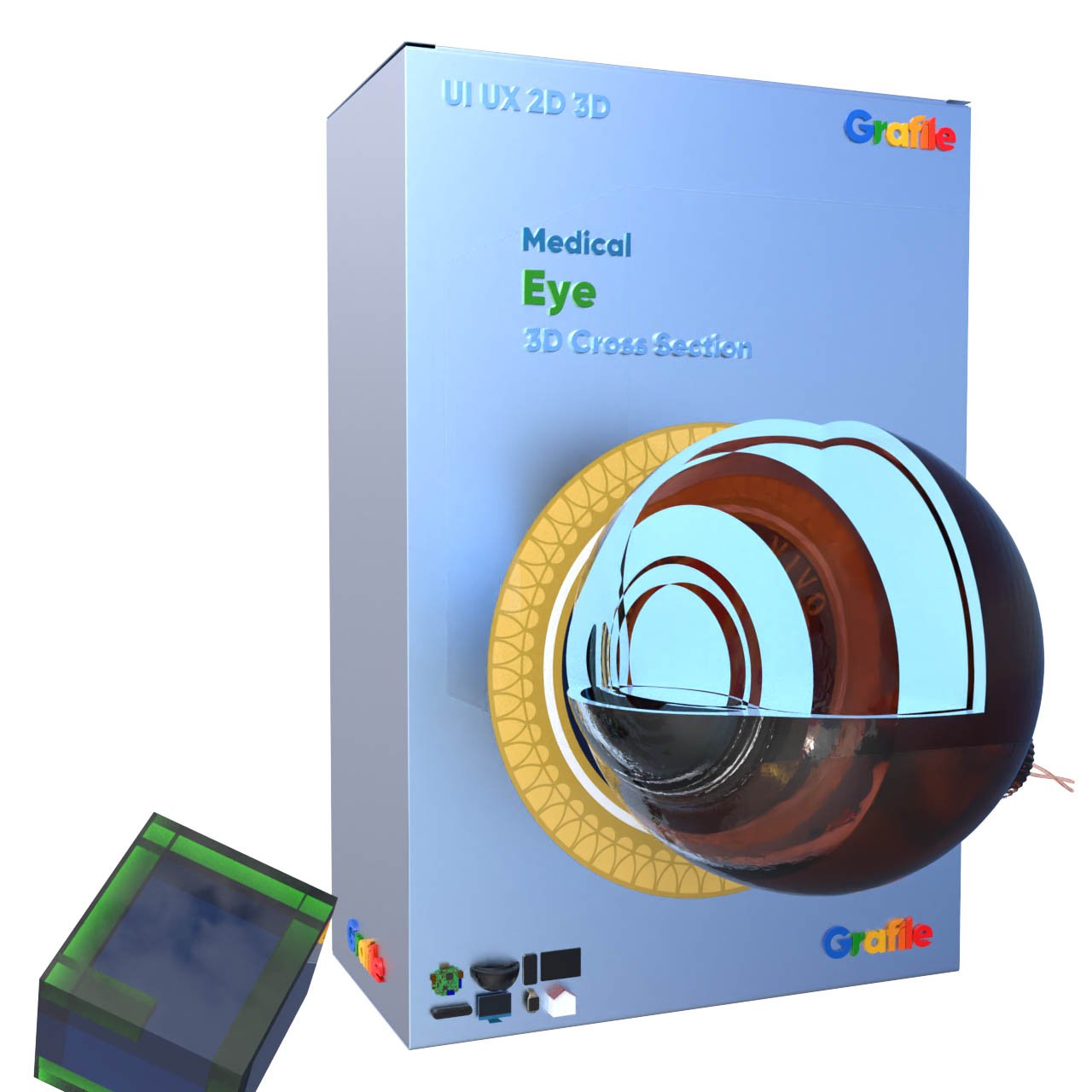 MV Eye Medical Nervous 3D  Cross Section