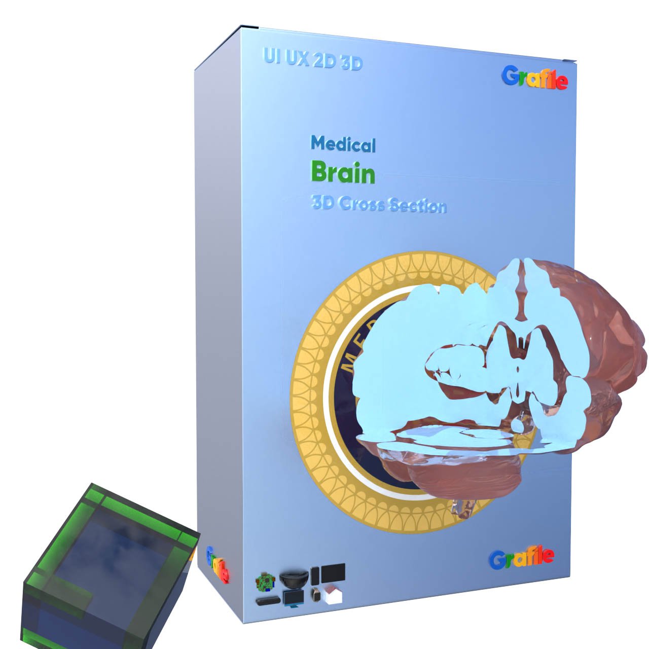 MV Brain Medical Nervous 3D  Cross Section