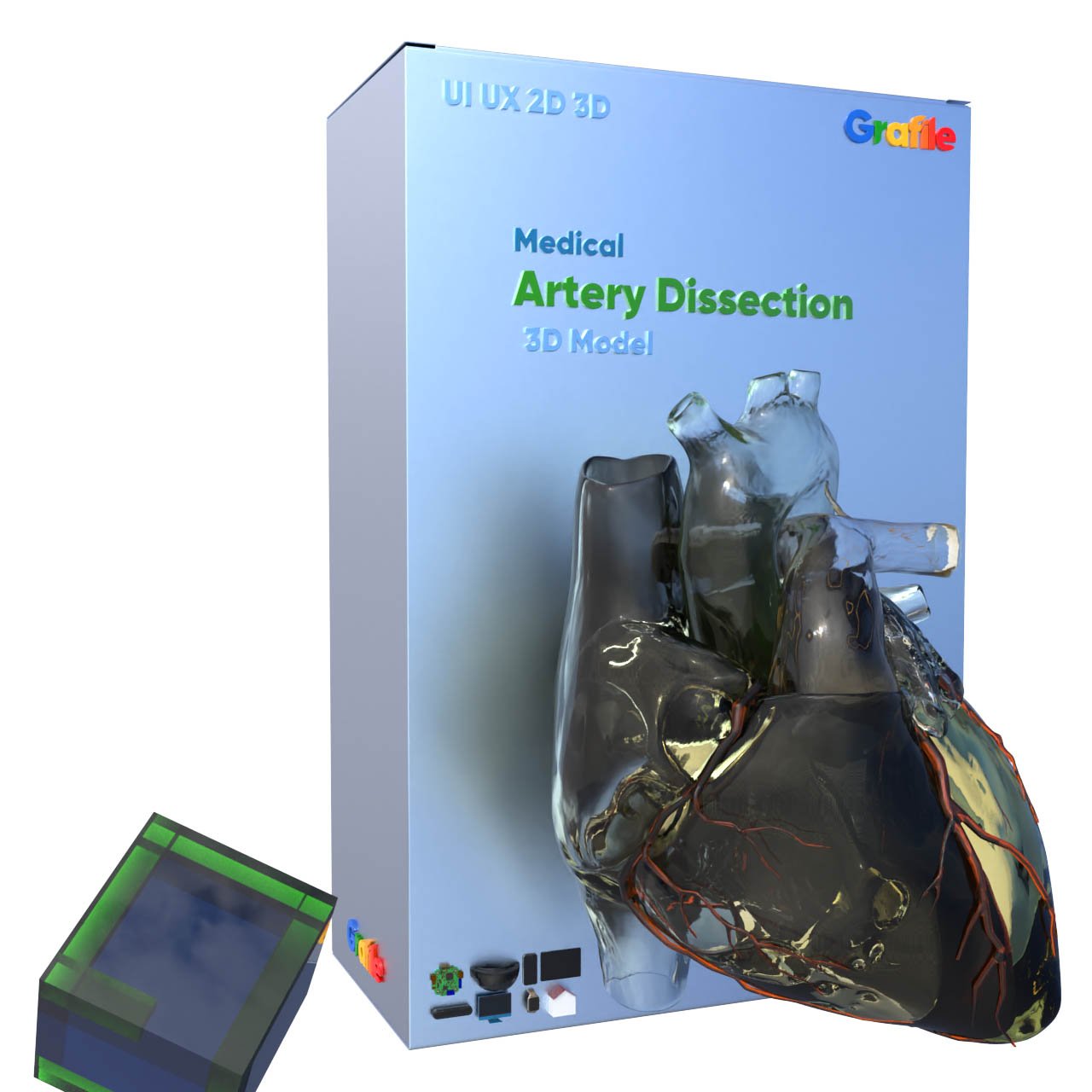 MV Artery Dissection Medical Cardiovascular 3D Model