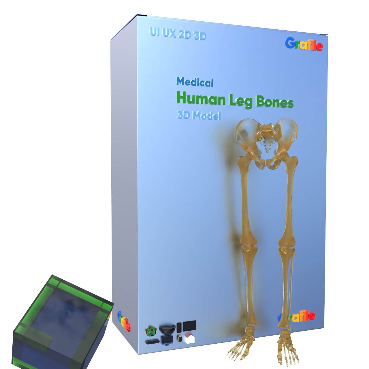 MV Human Leg Bones Medical Skeletal 3D Model