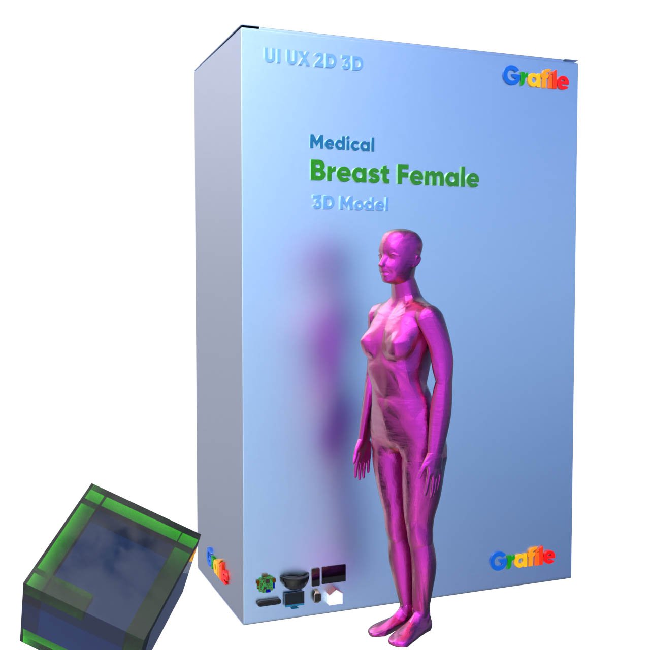 MV Breast Female Medical Anatomy  3D Model