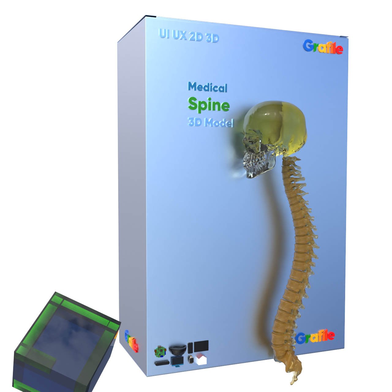 MV Spine Medical Skeletal 3D Model