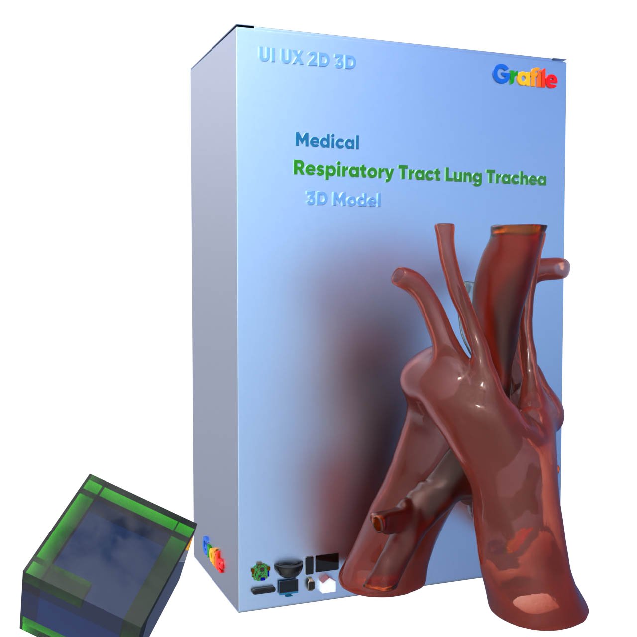 MV Respiratory Tract Lung Trachea Medical Respiratory 3D Model