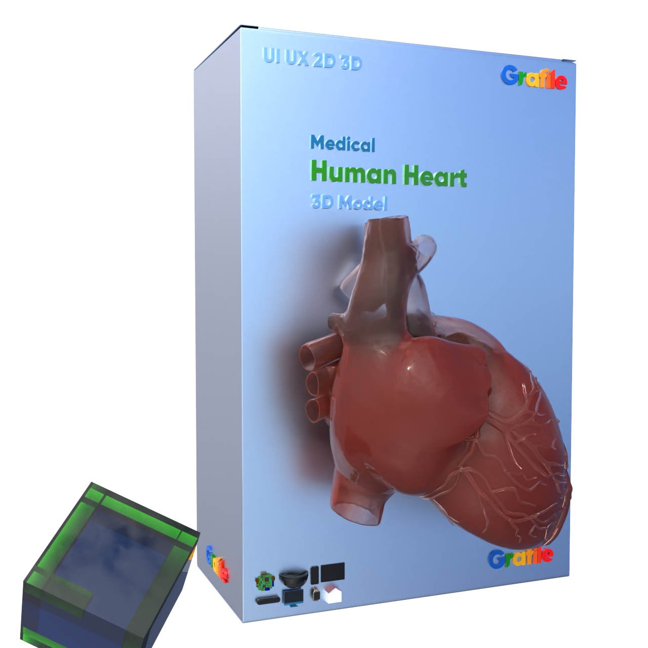 MV Human Heart Medical Cardiovascular 3D Model