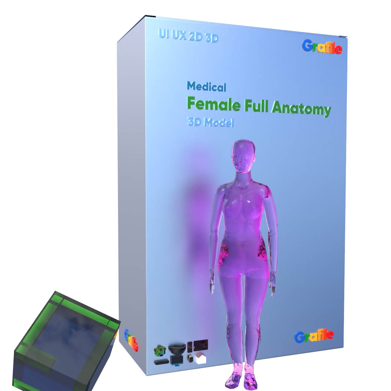 MV Female Full Anatomy Medical Anatomy 3D Model