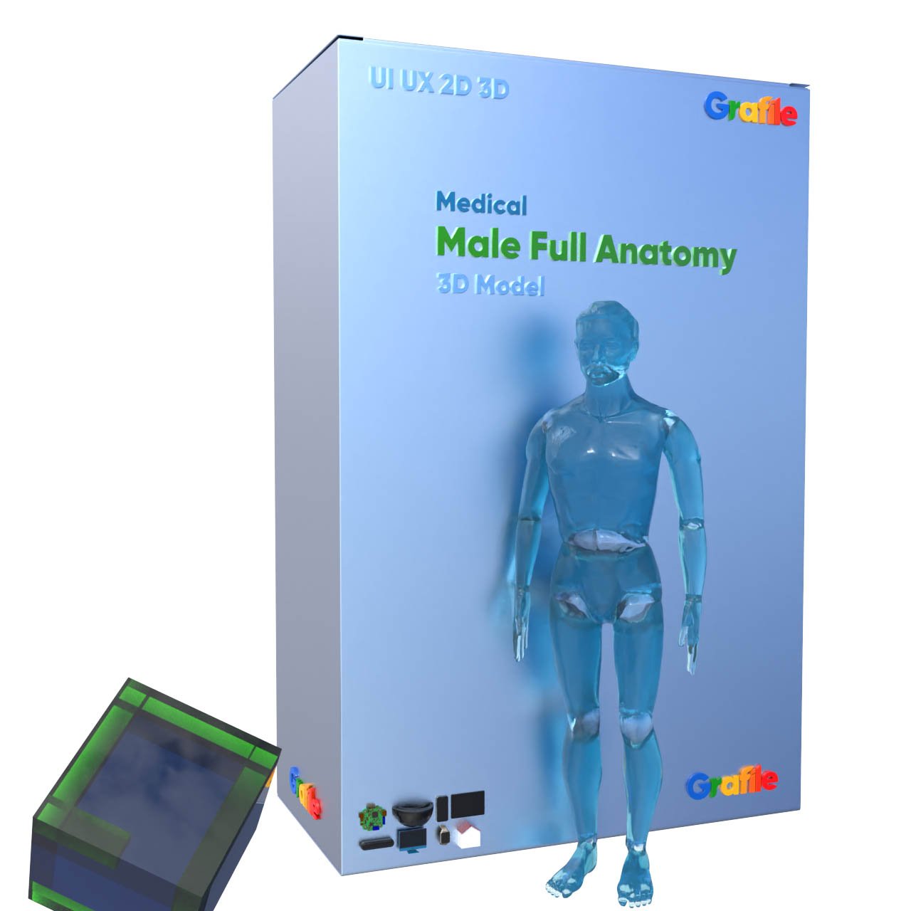 MV Male Full Anatomy Medical Anatomy 3D Model