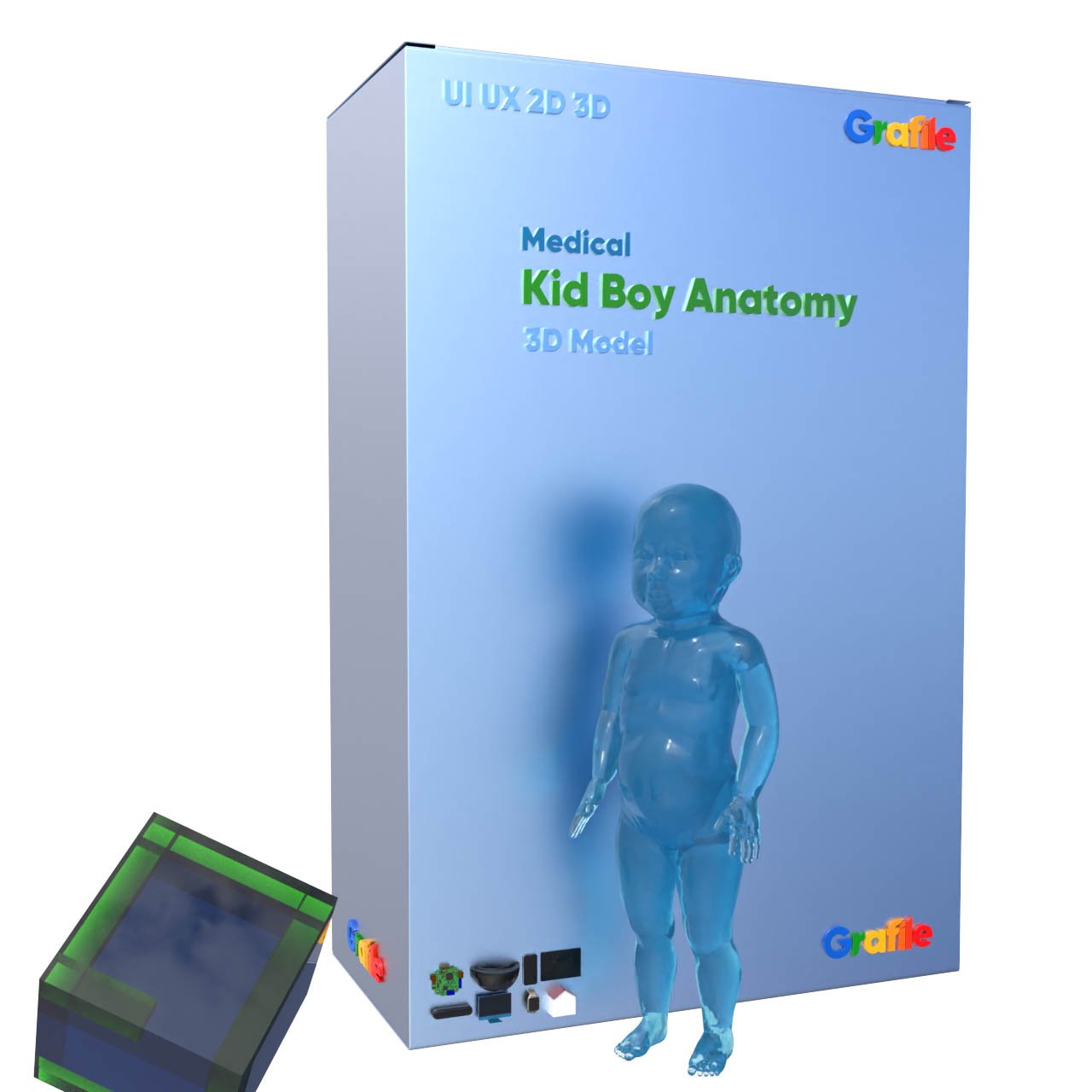 MV Kid Boy Anatomy Medical Anatomy 3D Model