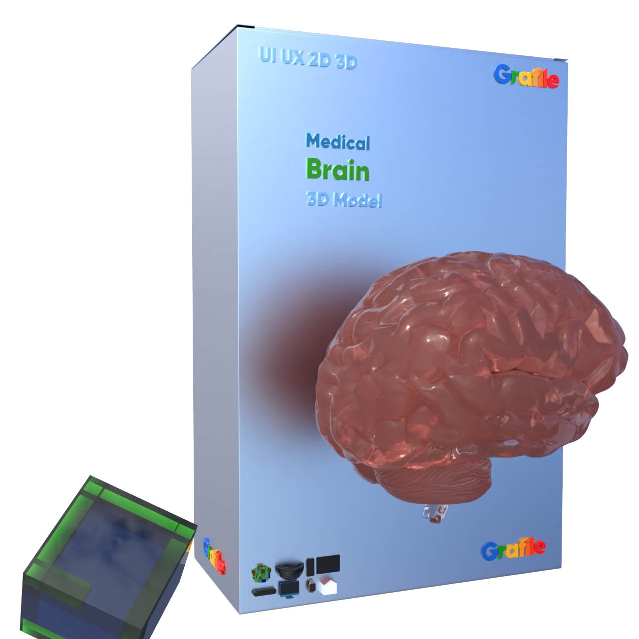 MV Brain Medical Nervous 3D Model